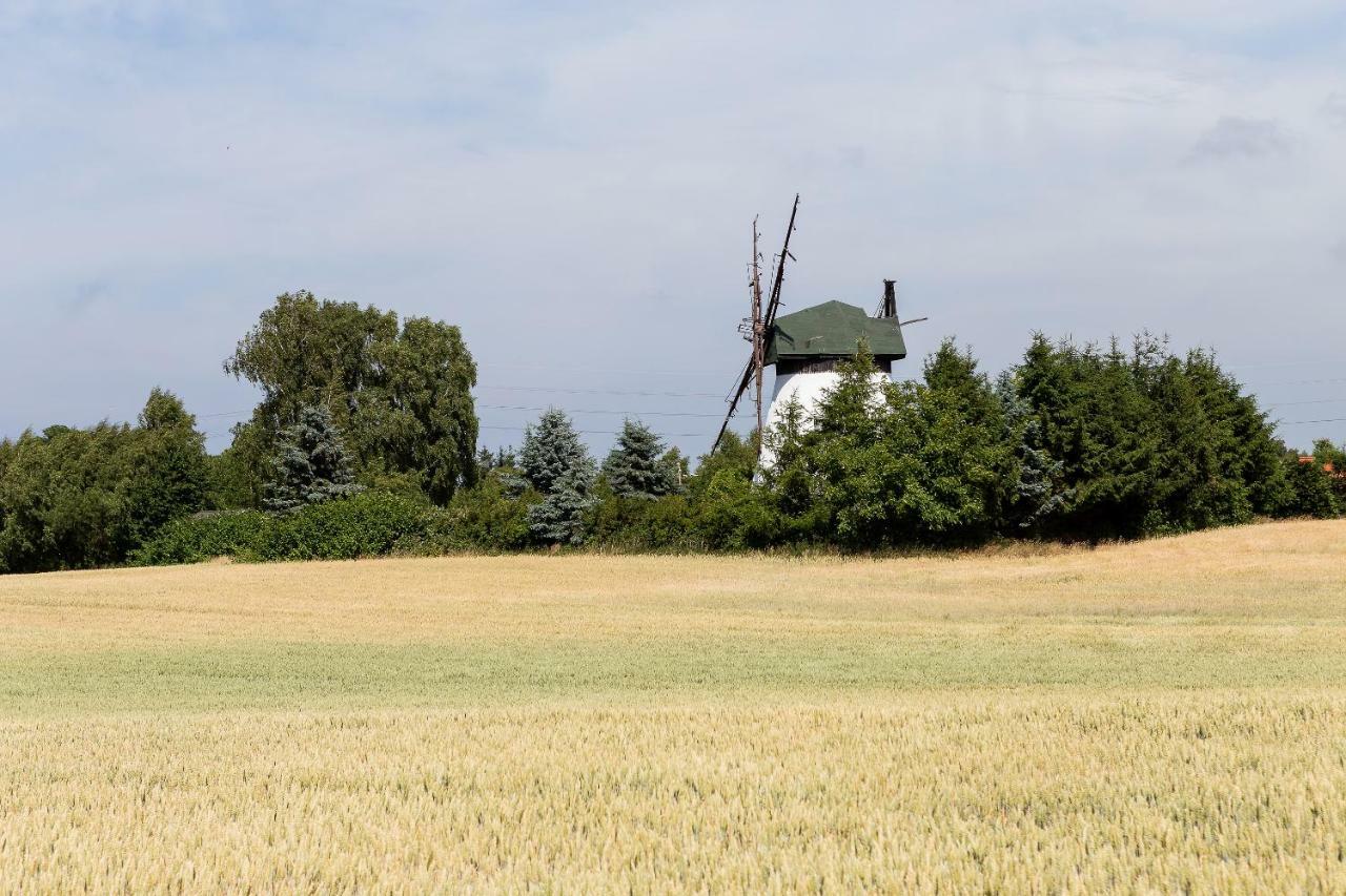 Windmill Vacation Home In Ledzin Near Baltic Sea Niechorze Exterior foto