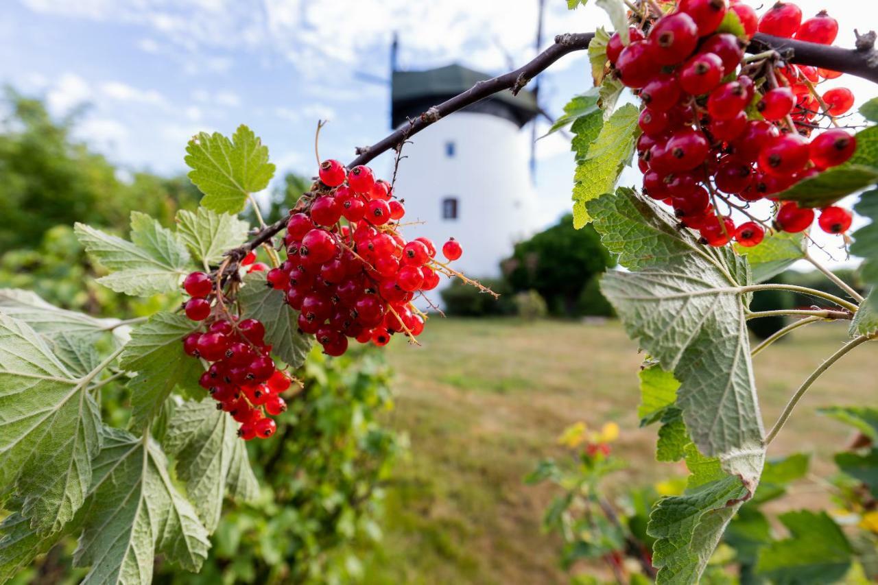 Windmill Vacation Home In Ledzin Near Baltic Sea Niechorze Exterior foto